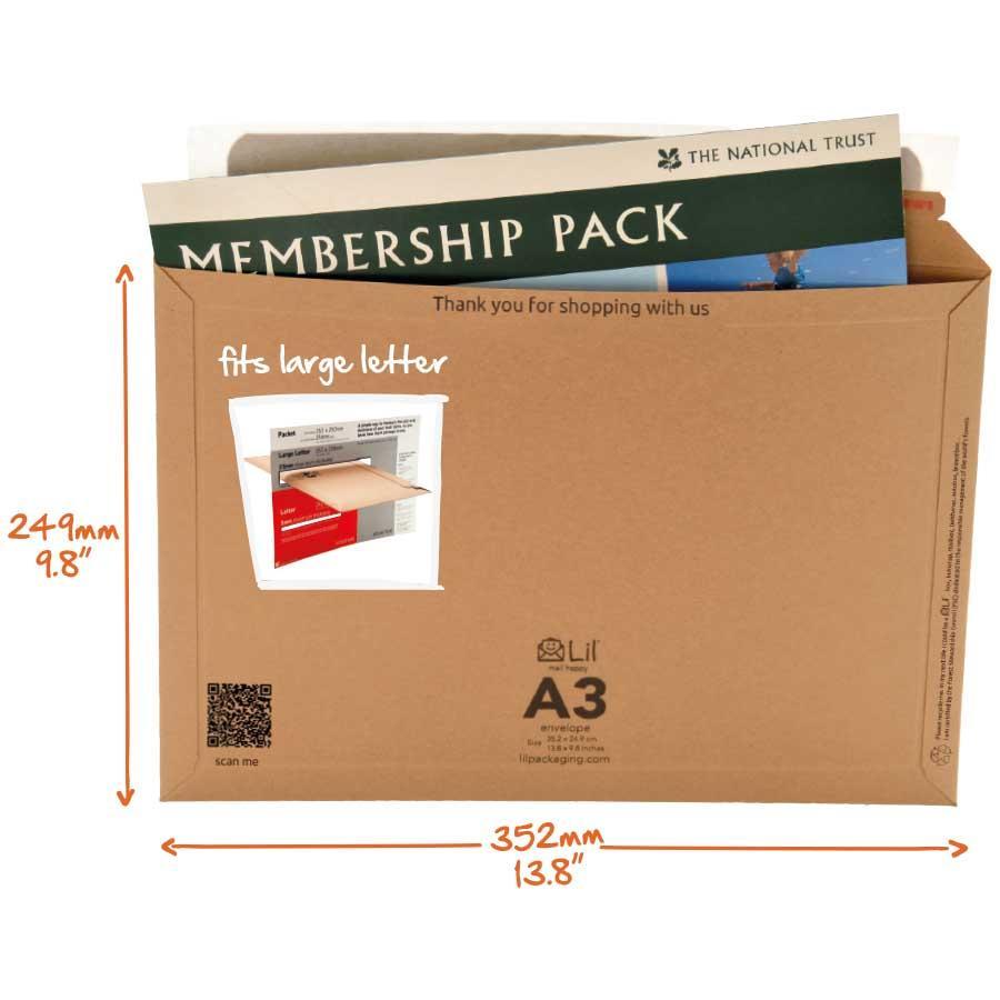 Product Focus Lil envelope cardboard envelopes, reinvented — Lil