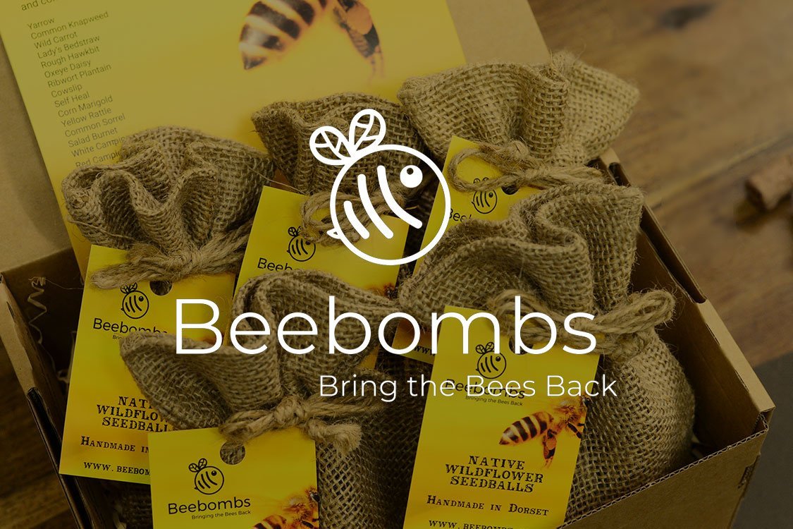 beebombs postal packaging bee friendly packaging wildflower seed mail order  
